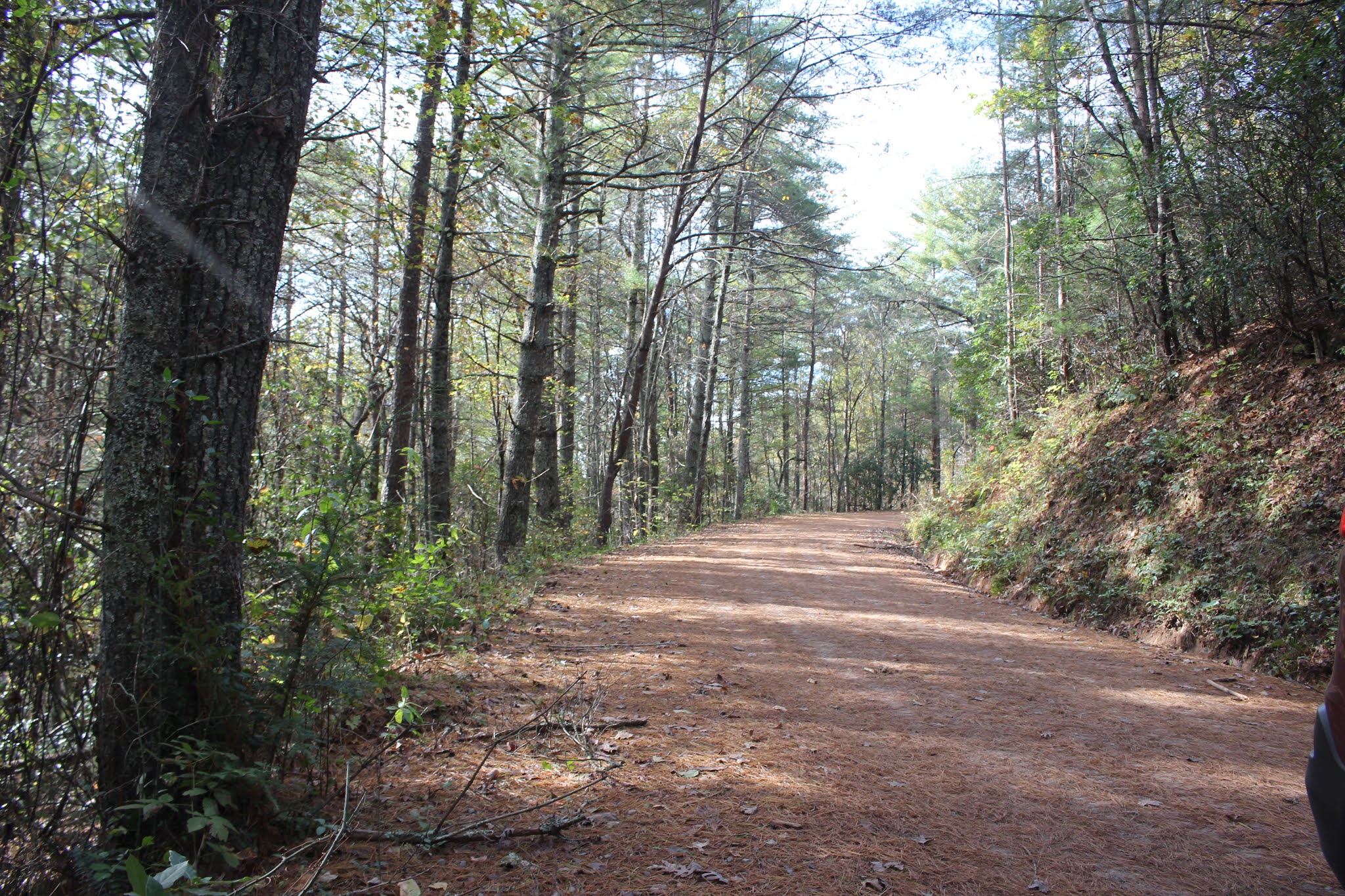 Cumberland Gal Joe Brown Highway Coker Creek to Murphy and Back