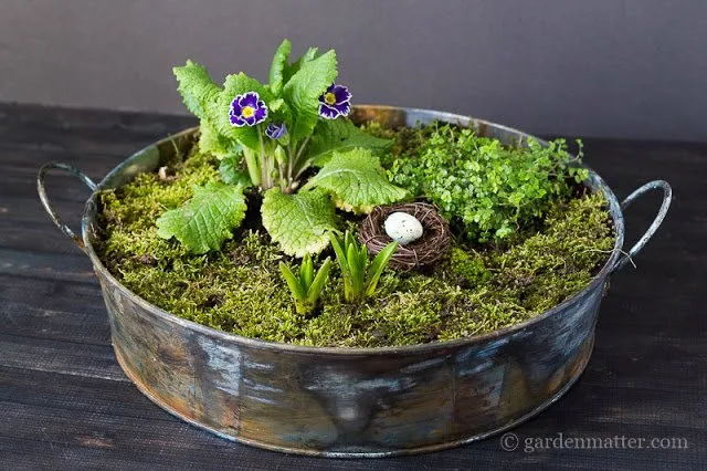Galvanized Tub Moss Centerpiece on a table with flowers set inside