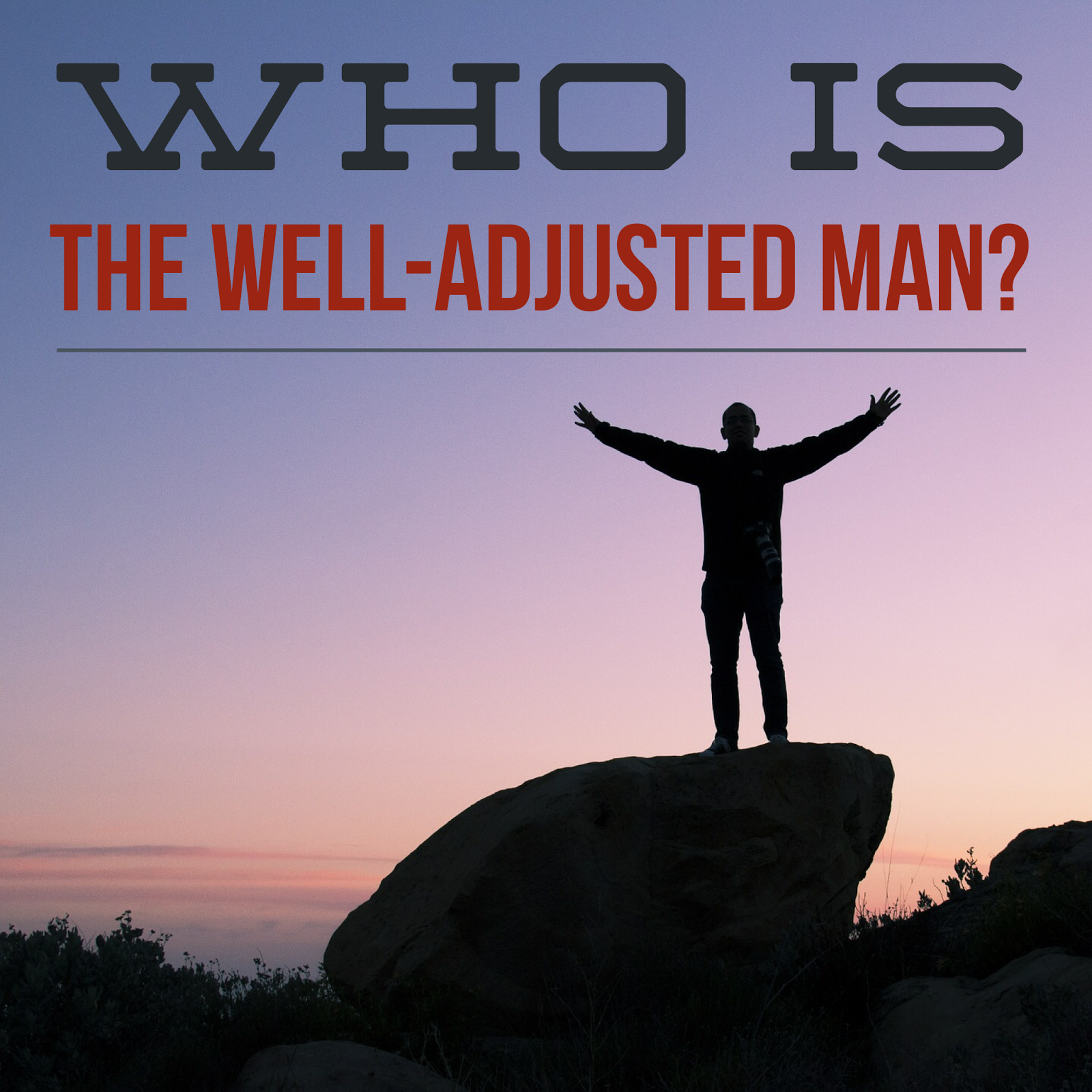 The Well Adjusted Man