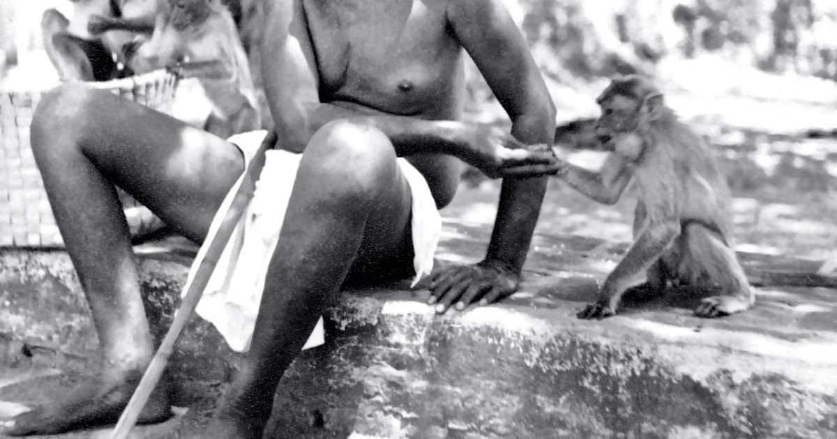 భగవాన్ అనుగ్రహం