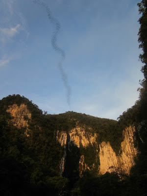Salida de murciélagos desde la Deer cave, en el Parque Nacional de Mulu