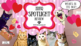 Valentines What's In The Box on BBHQ Spotlight Review @BionicBasil® 