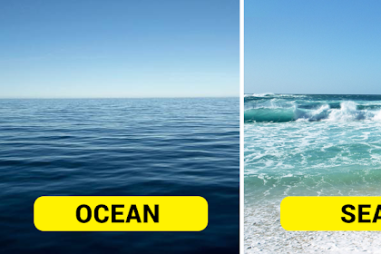 What is the difference between a river, a sea and an ocean?