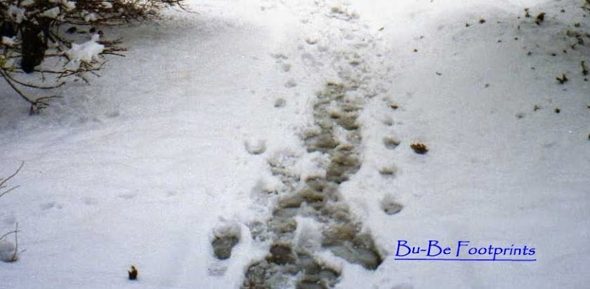 Bu-Be Footprints