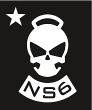NS6 Skully Logo