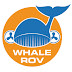 Benvinguts al blog del Projecte Whale ROV amb Joventut de Lleida