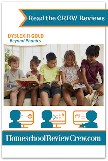 Dyslexia Gold Full Bundle {Dyslexia Gold Reviews}