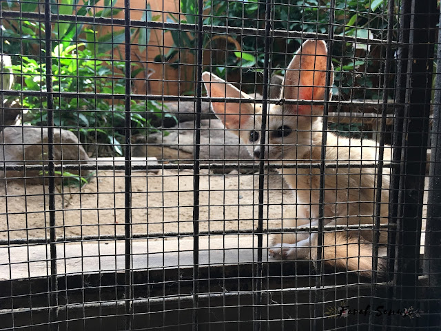 Wildlife Park, Langkawi