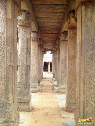 Lepakshi Saree Designs on the unfinished marriage hall inside the Veerabhadra Swamy Temple Complex at Lepakshi, in Andhra Pradesh, near Andhra - Karnataka border, India