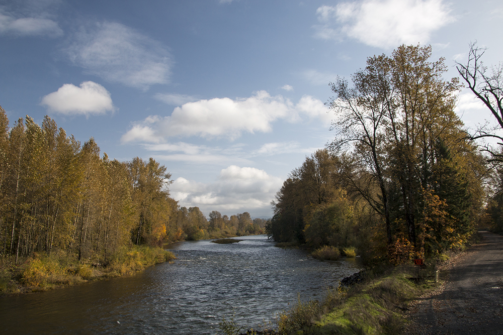 Photographing Oregon Santiam River, South Branch