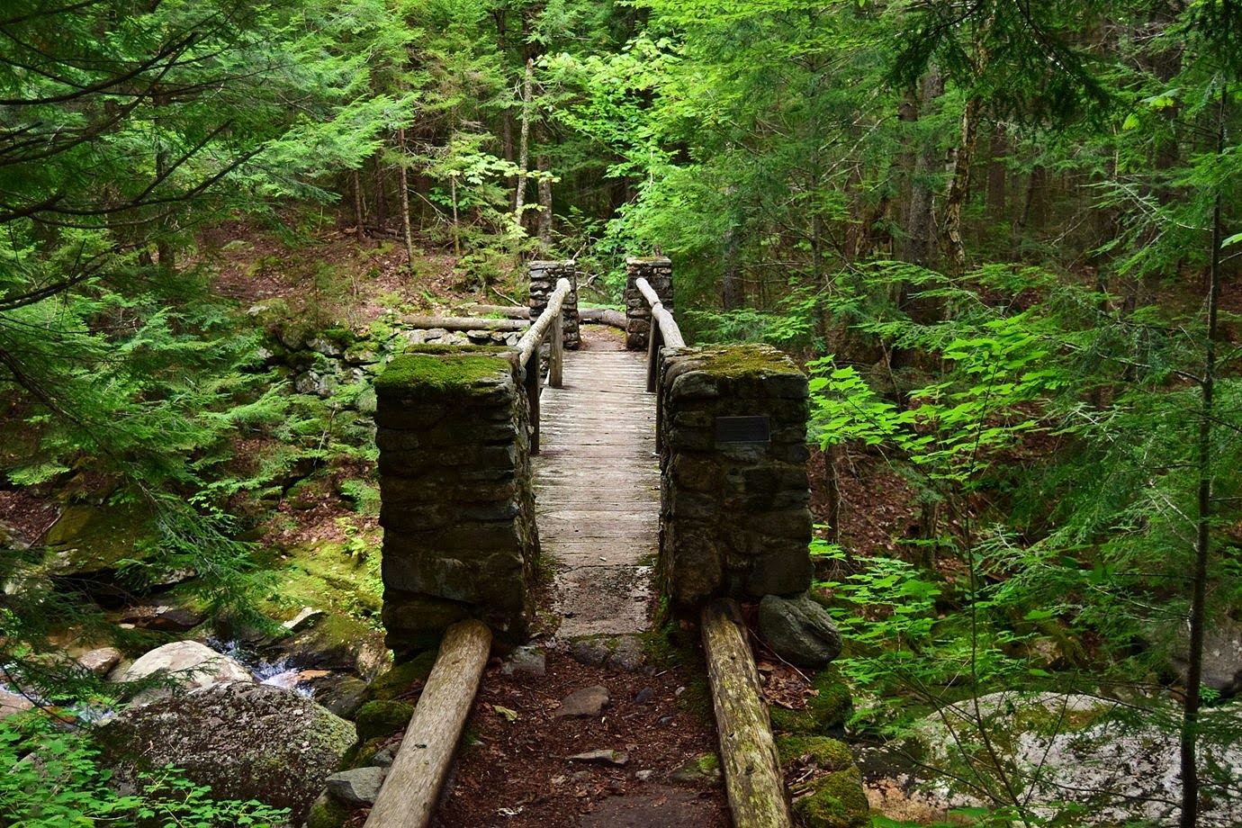 Waterfall Hero Hikes Cold Brook Falls (Appalachia)