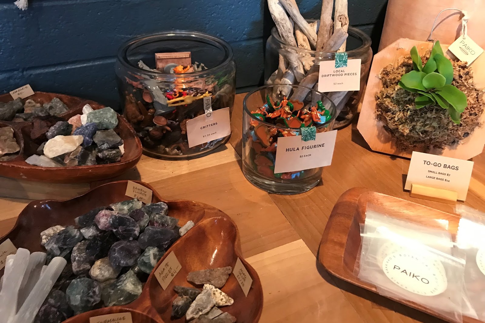 [Honolulu] Paiko Cutest plant shop ever! DIY Potting and Terrarium Bar