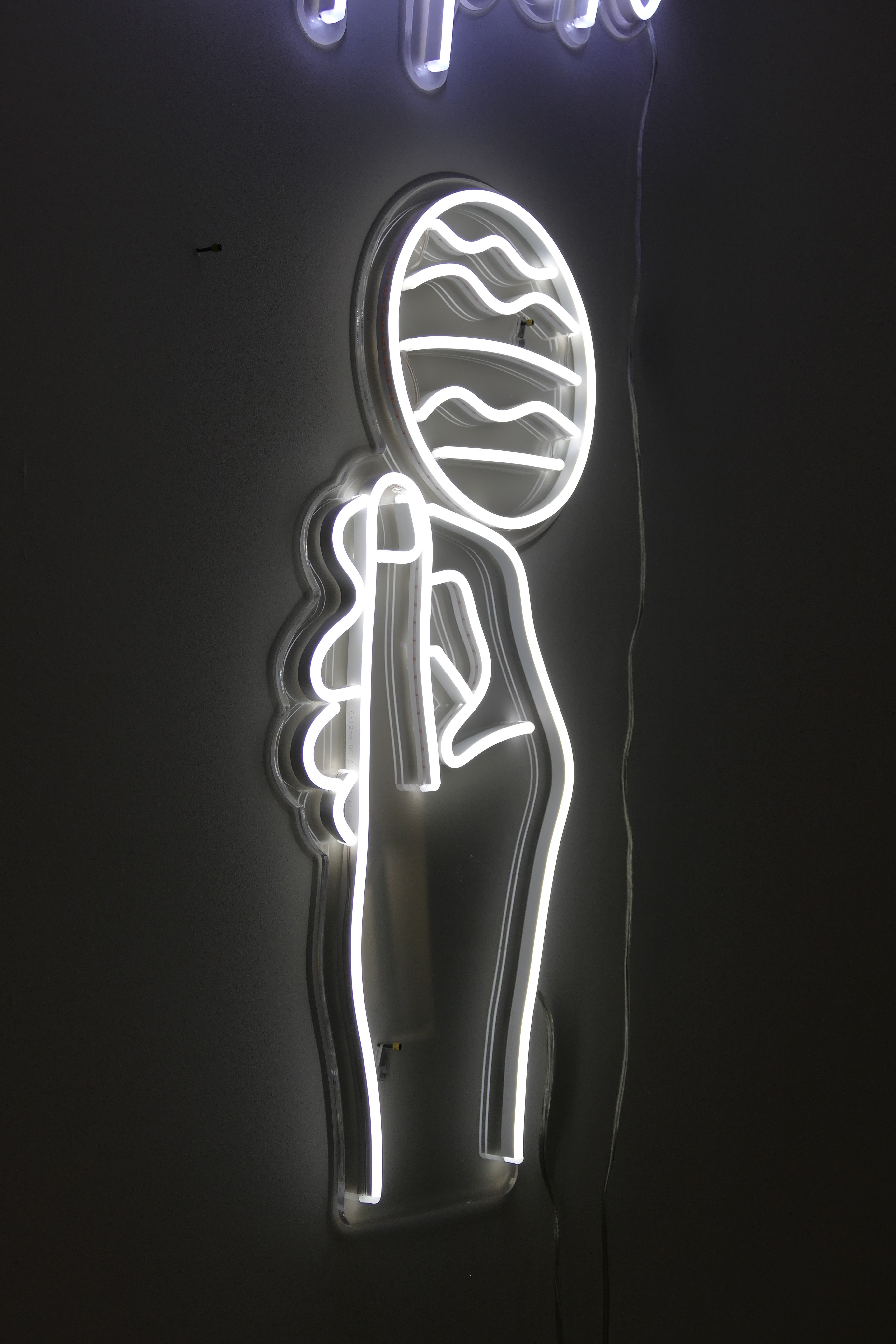 Best Neon Lights To Get For Your Home Neon Vibes Review fantail flo