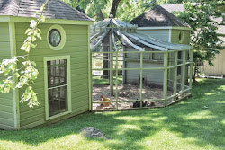 coop chicken bunny williams boxwood velvet ever barn gorgeous seen would