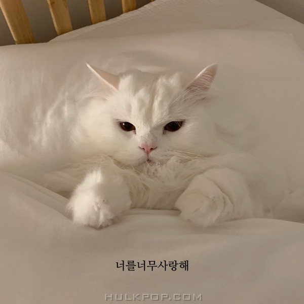Park Jeong Jin – I Love You So Much (feat. Sera) – Single
