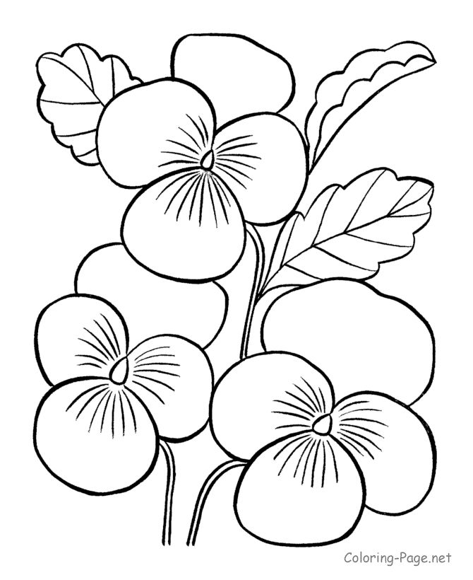 Free Coloring Printouts for Kids