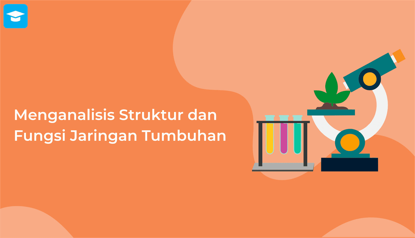 Struktur jaringan tumbuhan dan fungsinya Struktur jaringan tumbuhan dan fungsinya