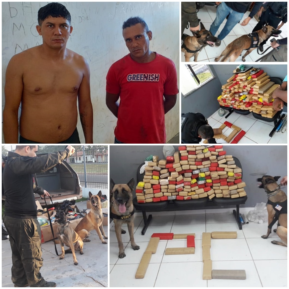 Blog do Gilberto Lima Traficantes são presos com 150 kg de drogas em