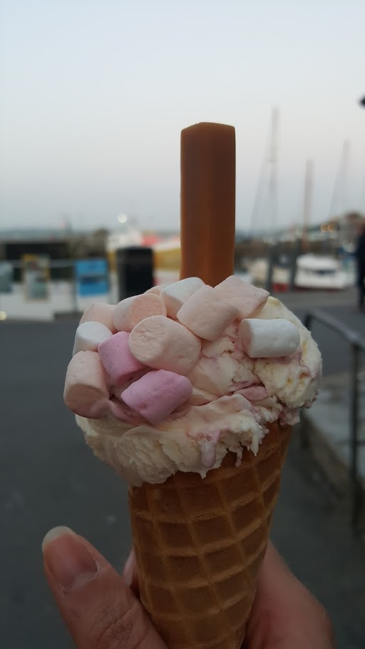 Photobrook Photography Wadebridge to Padstow bike ride on the camel trail