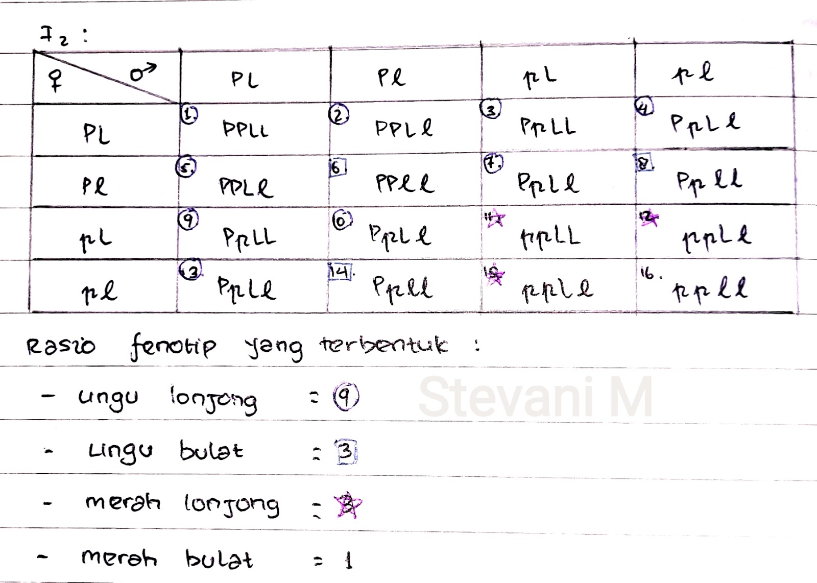 Stevani Manuhutu Ii Lks Tautan Dan Pindah Silang