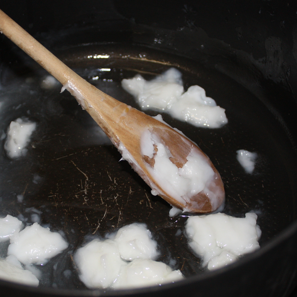 How to Make Suet For Birds Koti Beth