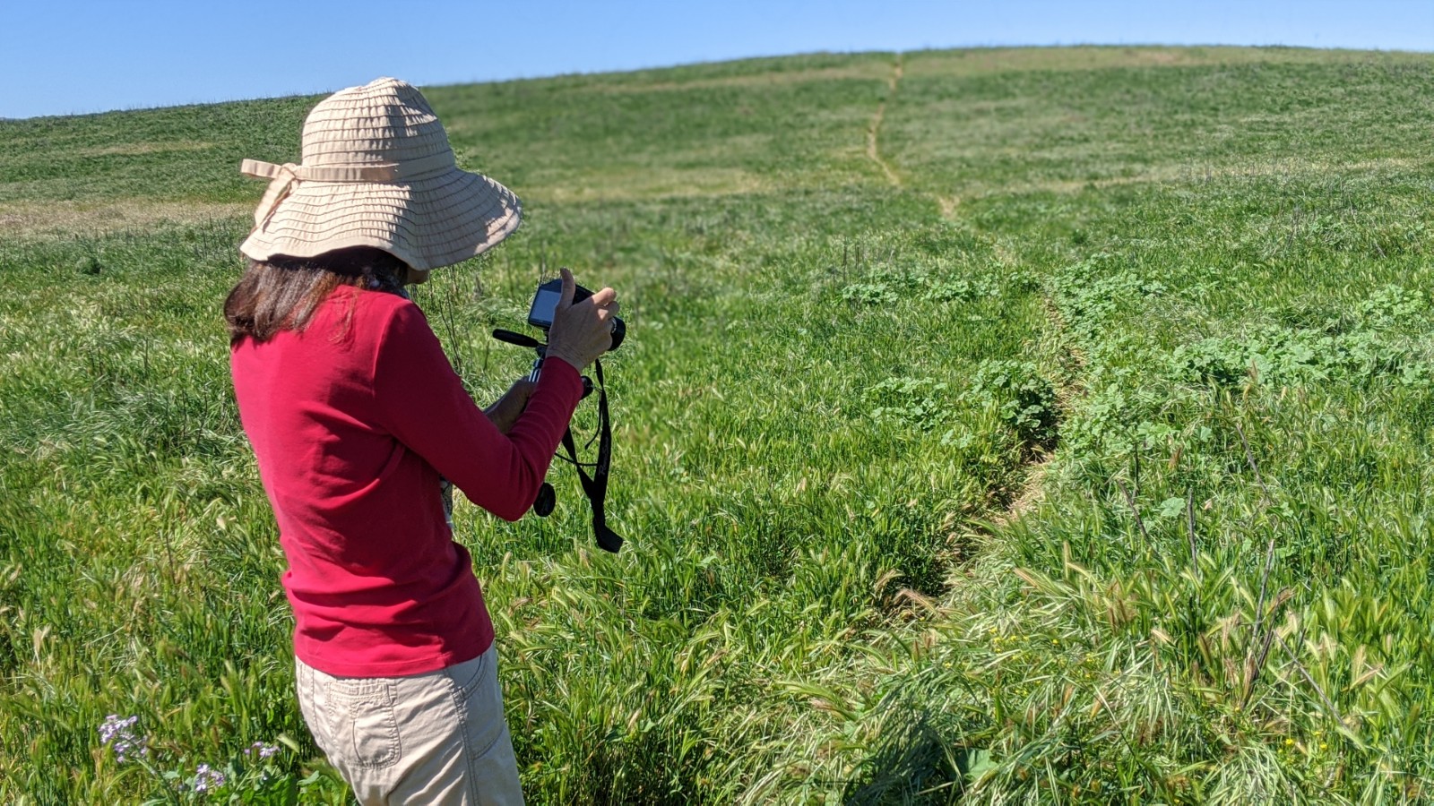 French Valley Wildlife Area... HAERR TRIPPIN'