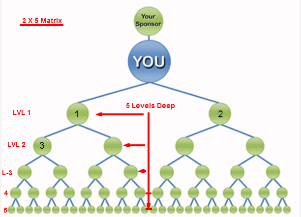 Membeli Limbah Carbide Dan Hss Bekas Tools Dan Lainya Investasi Bodong Skema Ponzi