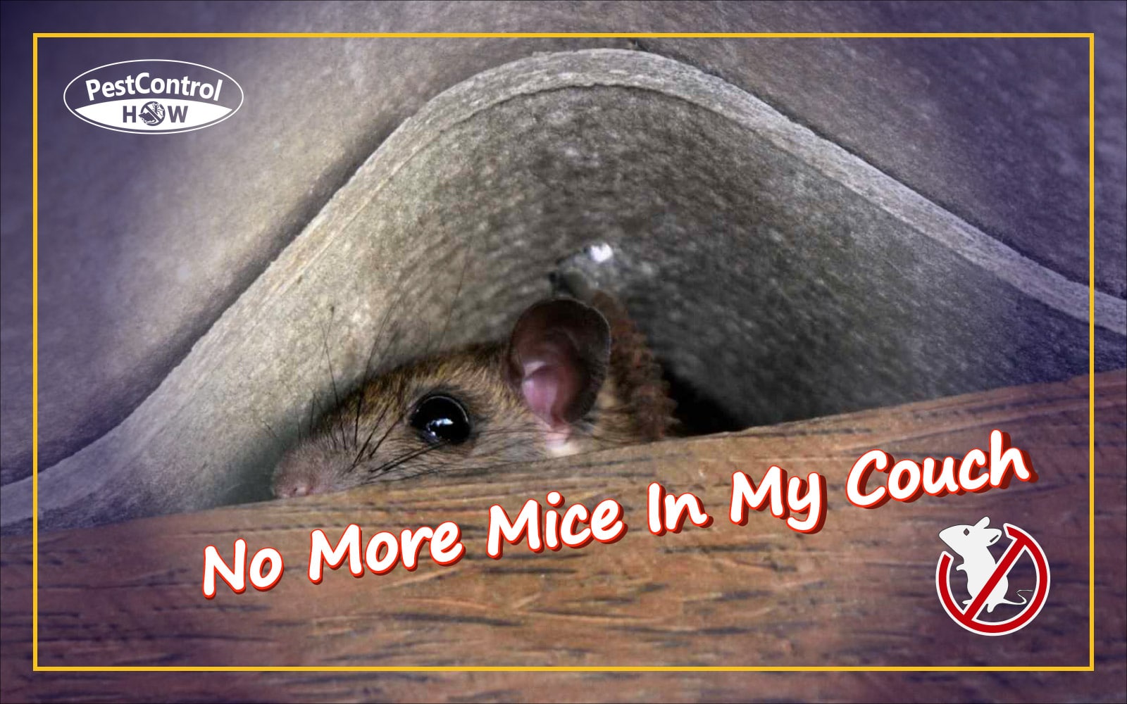 How to Get Mice Away from My Couch