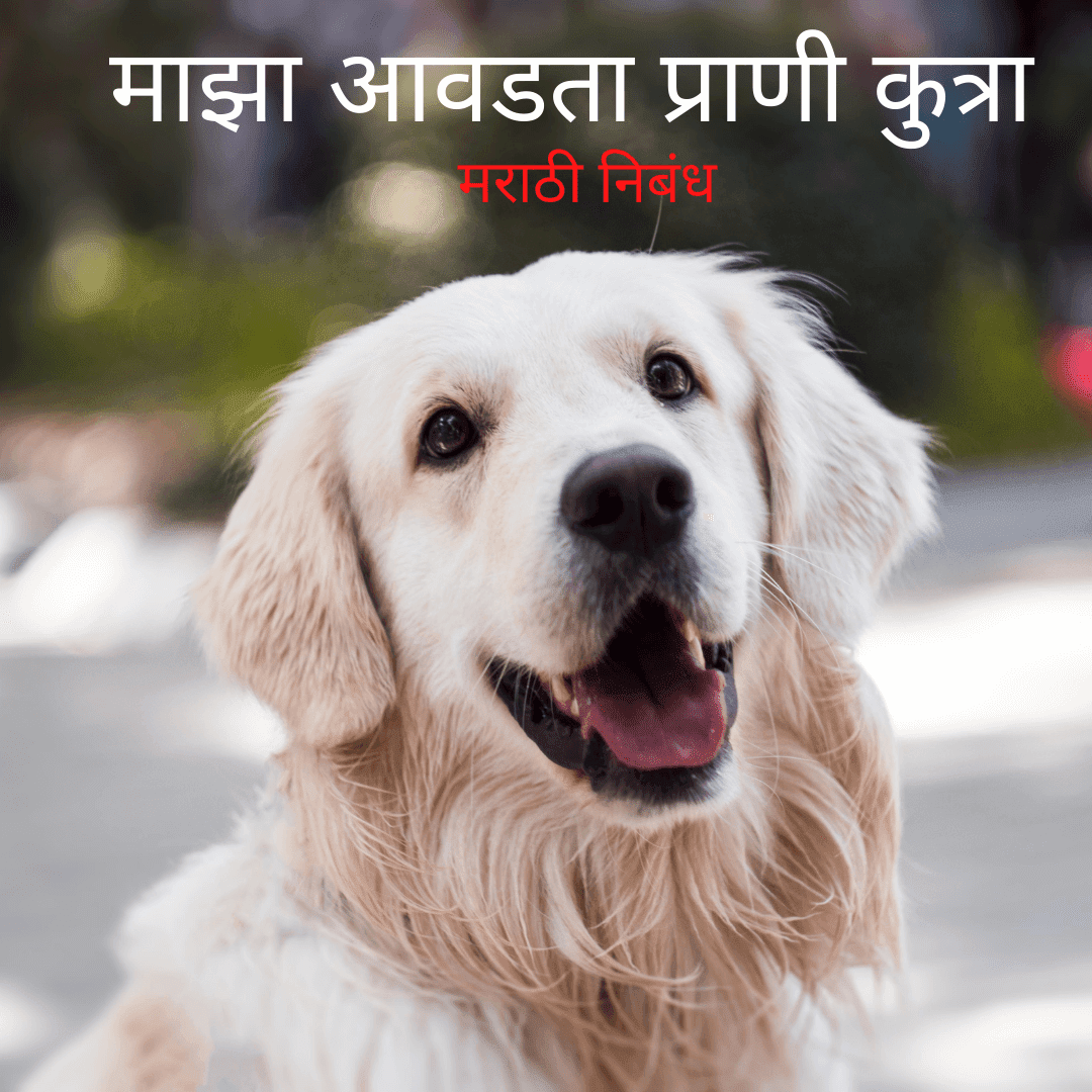माझा आवडता प्राणी कुत्रा मराठी निबंध | Maza Avadta Prani kutra Marathi  Nibandh | My favorite animal dog ~ Marathi Nibandhs