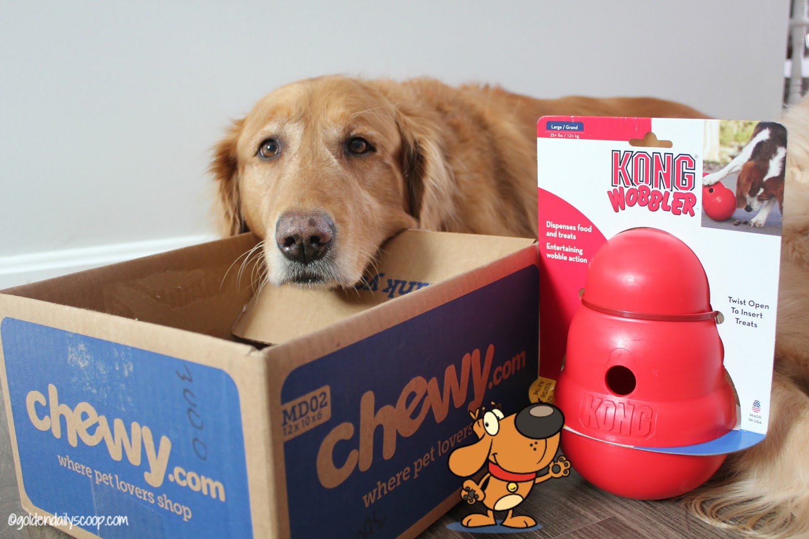 Pet Supplies : Pet Chew Toys : KONG Wobbler - Interactive Dog
