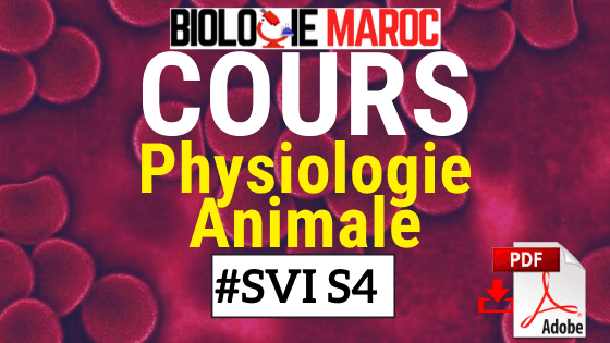 Cours de Physiologie Animale SVI S4 Semestre 4 - PDF Cours de Physiologie Animale SVI S4 Semestre 4 - PDF