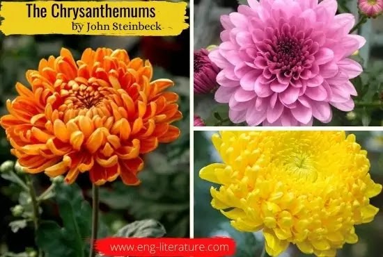 The Chrysanthemums Analysis