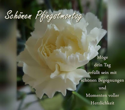 Lebensbilder Statt Krankheitsbild 103 Mit Wochenende In Bildern