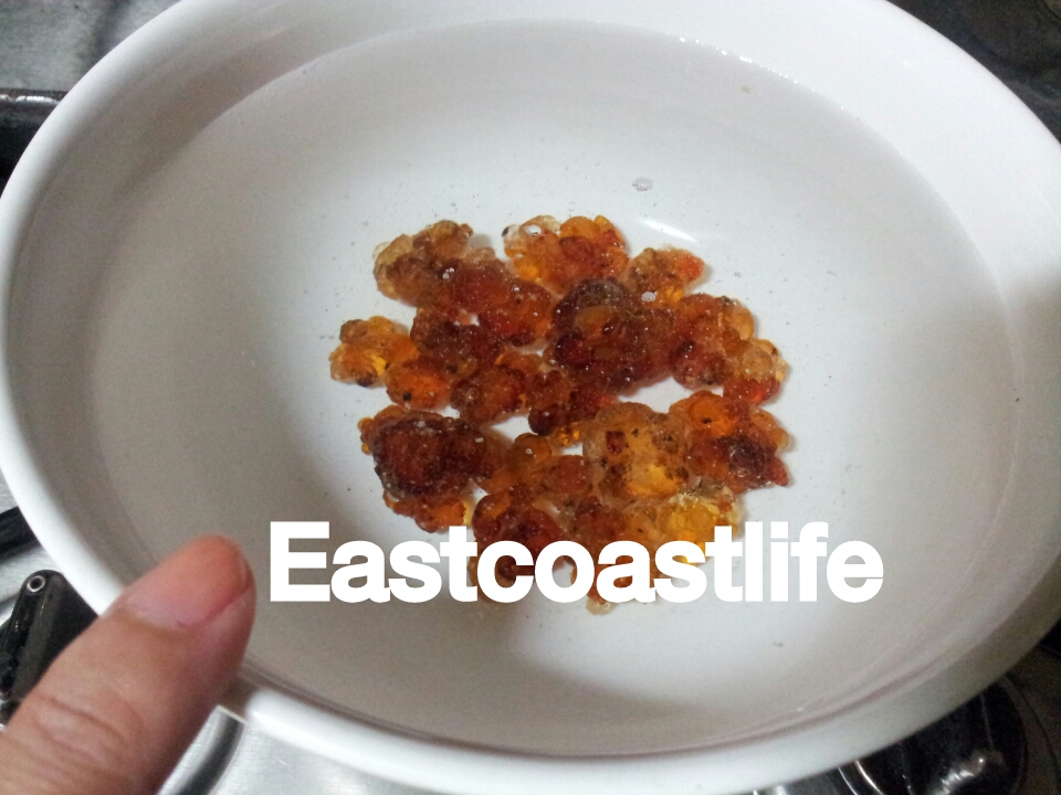 eastcoastlife Peach Gum Nourishing Beauty Tonic 桃胶糖水滋阴养顏