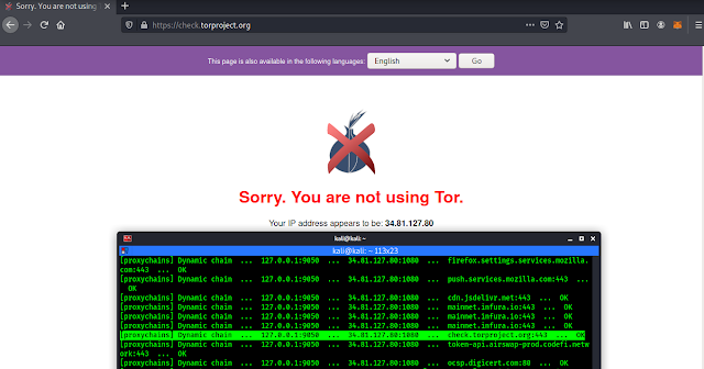 proxychains used with tor on Kali Linux