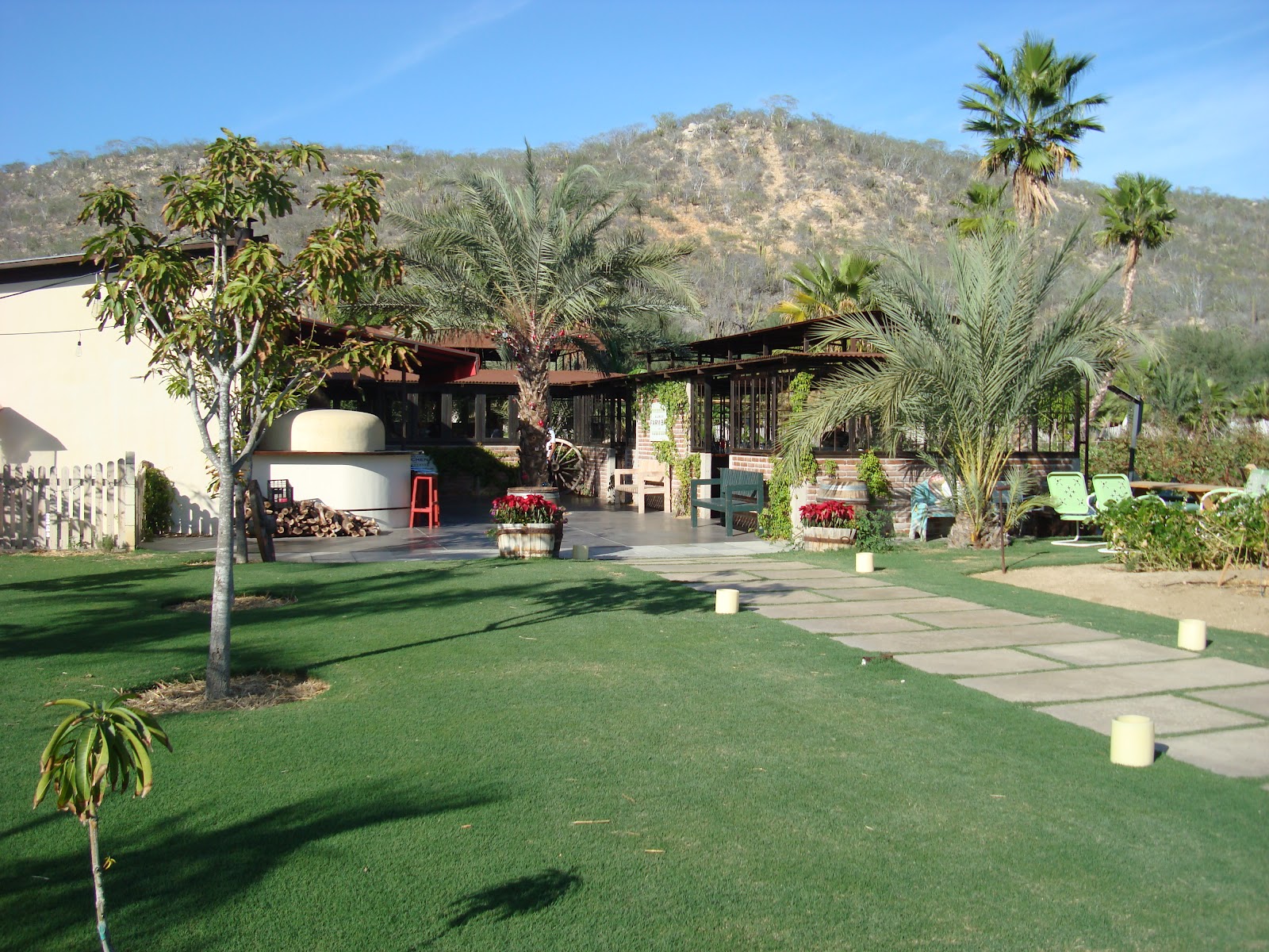 Restaurant Review Flora's Field Kitchen Healthy Journey Cafe