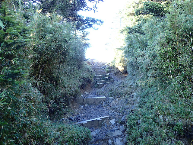 P7220748.JPG