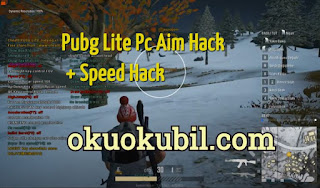 Pubg Lite Pc Aim Hack + Speed Hack + Wall Hack Mod Menu Güncel 2020