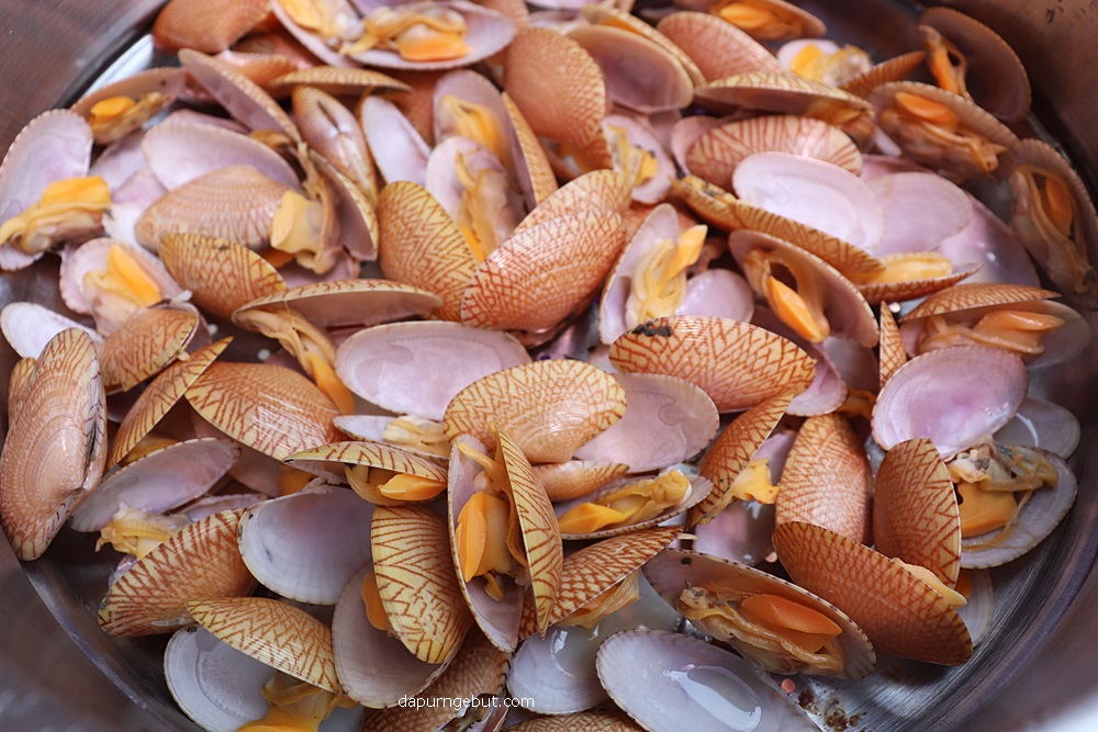 Kerang Batik Saus Tiram Dapur Ngebut
