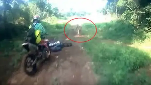 Motociclistas son sorprendidos por misterioso humanoide en el bosque de Bandah Aceh, Indonesia