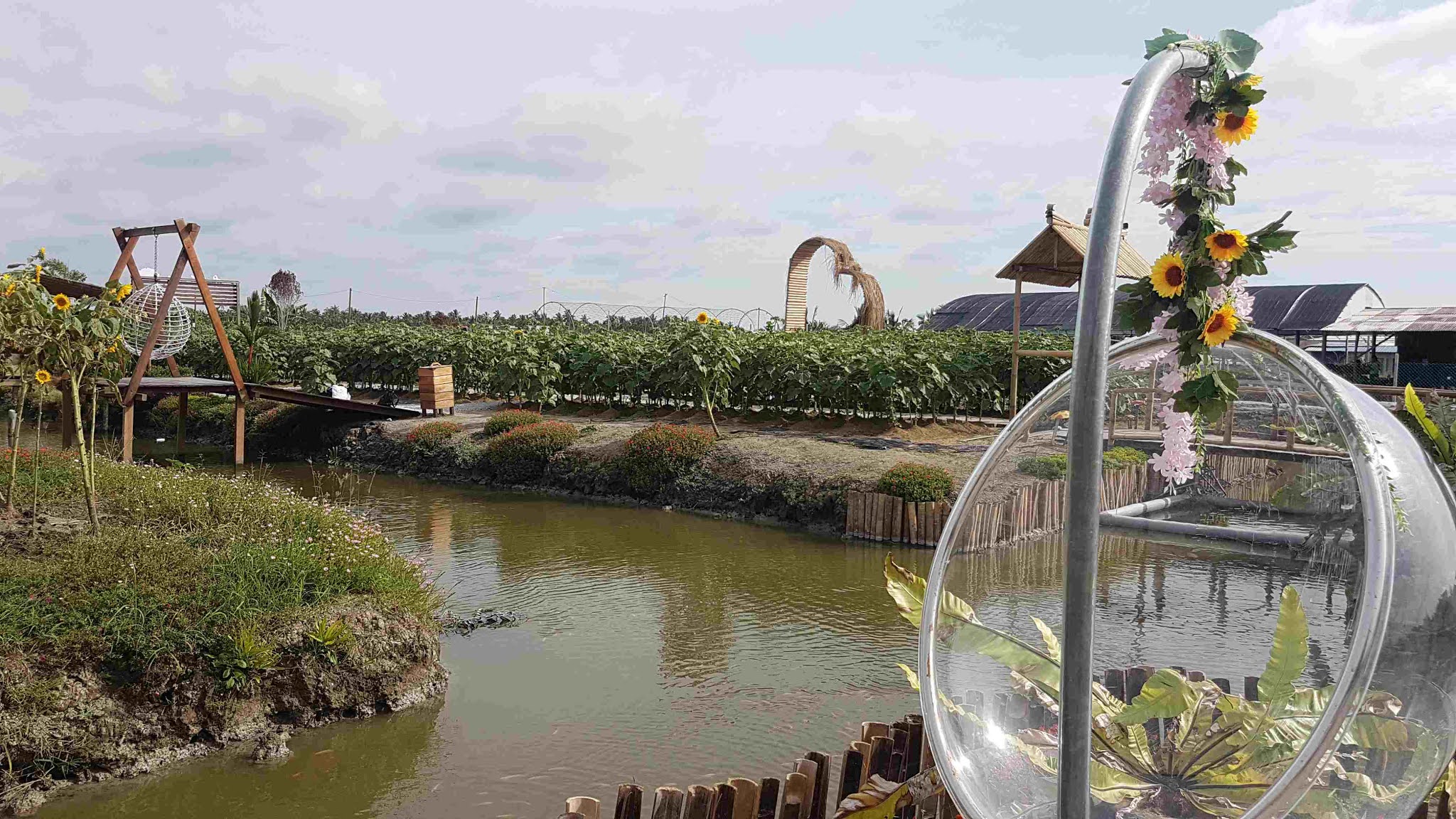 Travelholic 5 Things To Do In Bagan Datuk, Perak (Sunflower Garden/Sky