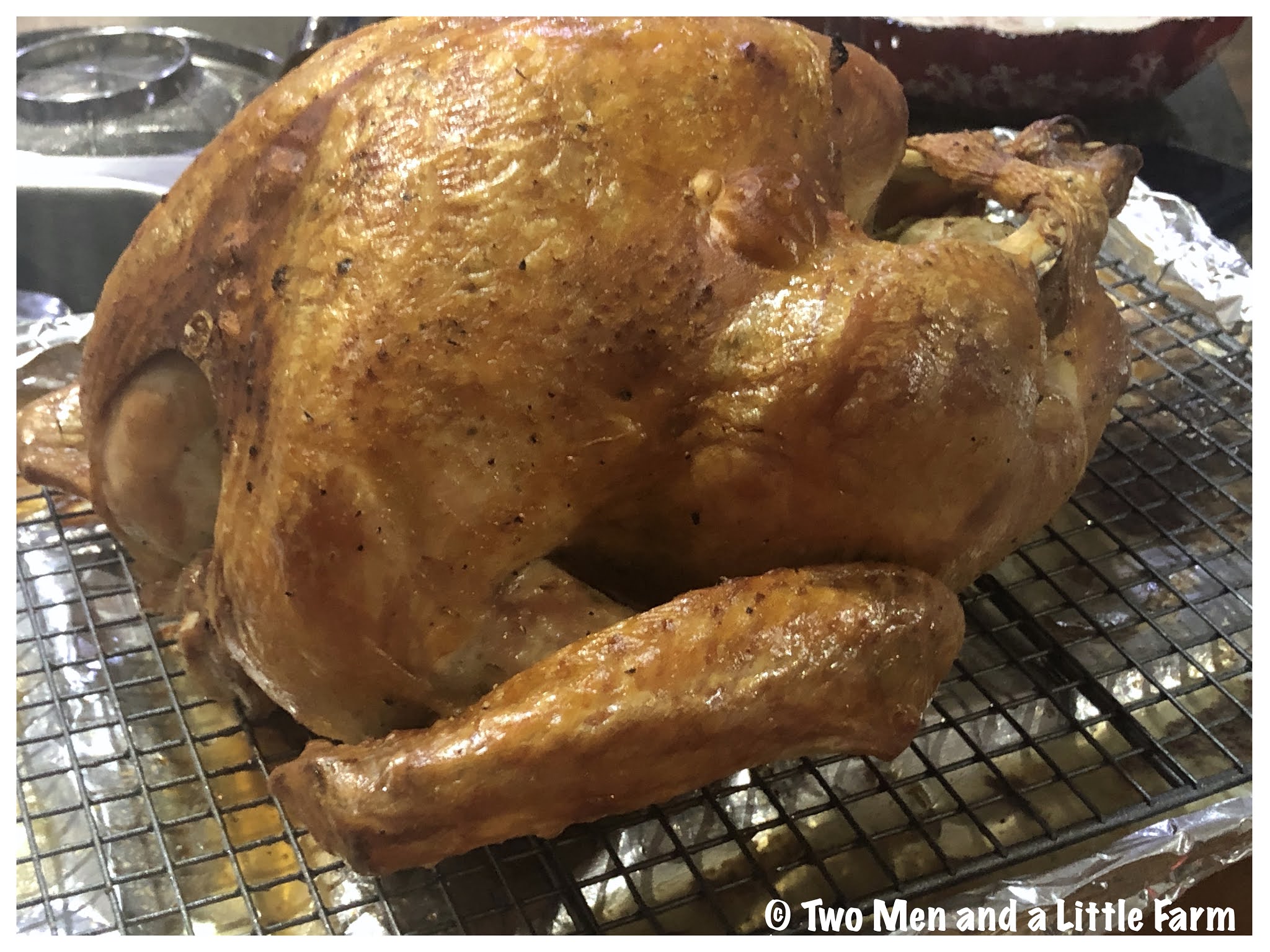 Two Men and a Little Farm DRY BRINED TURKEY ROASTED IN DUCK FAT