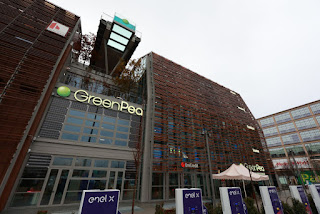 Green Pea