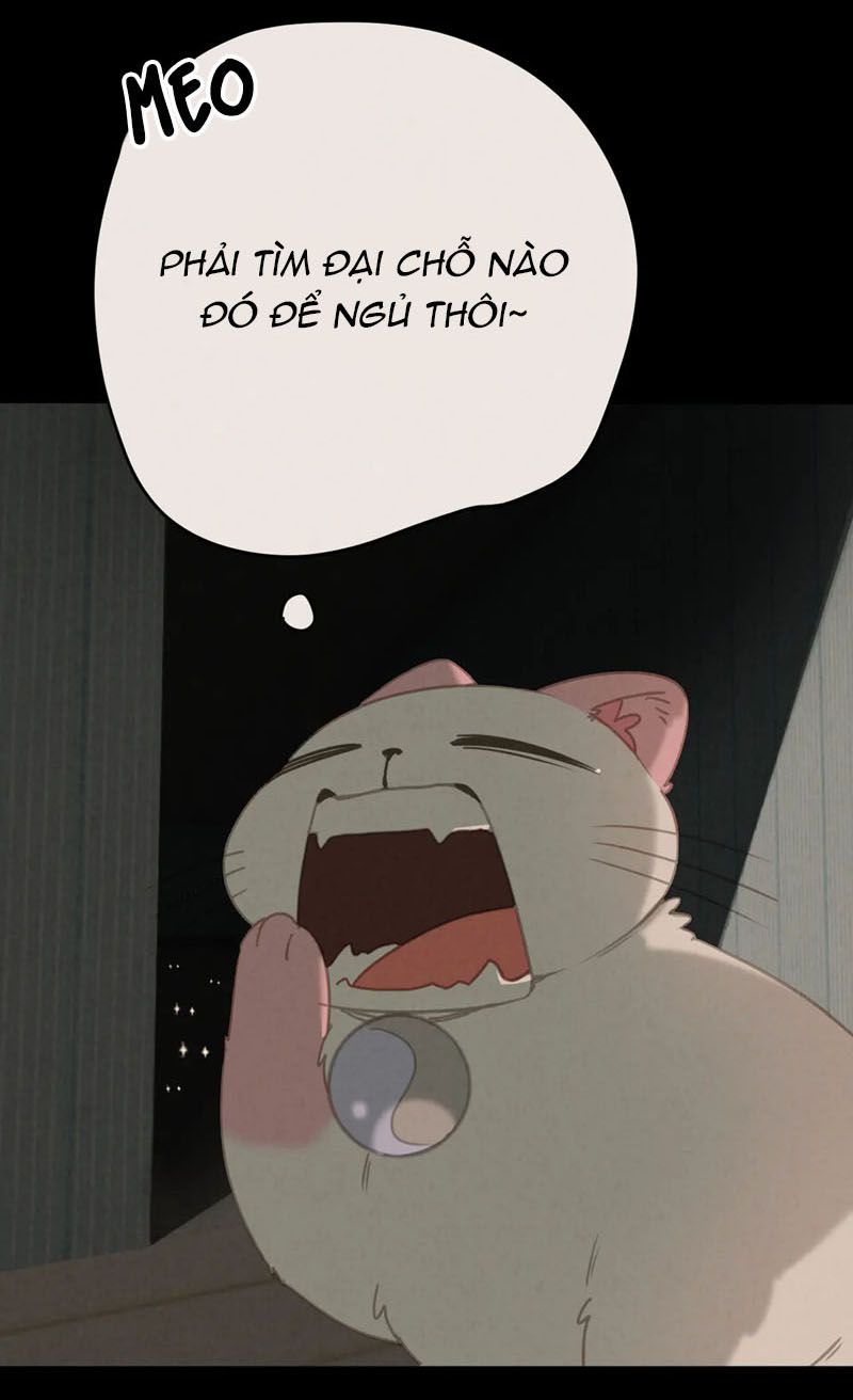 Đọc truyện Thế giới của một chú mèo - Chapter 27