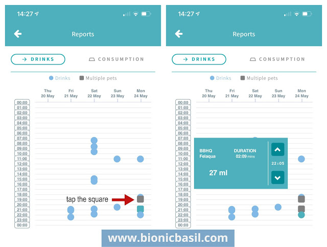 What's In The Box ©BionicBasil® The Sure Petcare Felaqua Connect Pet Fountain - Melvyn Water Consumption Chart