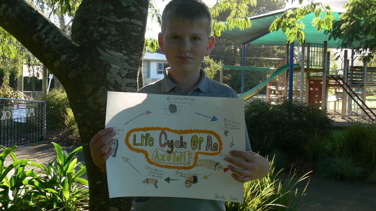 Room 3 Matatoki: Life Cycle