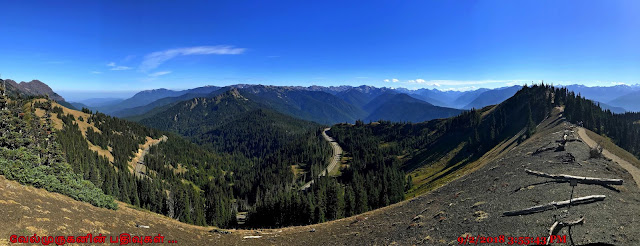 Sunrise Ridge Olympic National Park