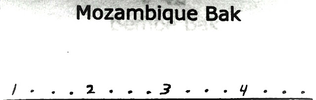michael de miranda mozambique carnaval cubano pello el afrokan