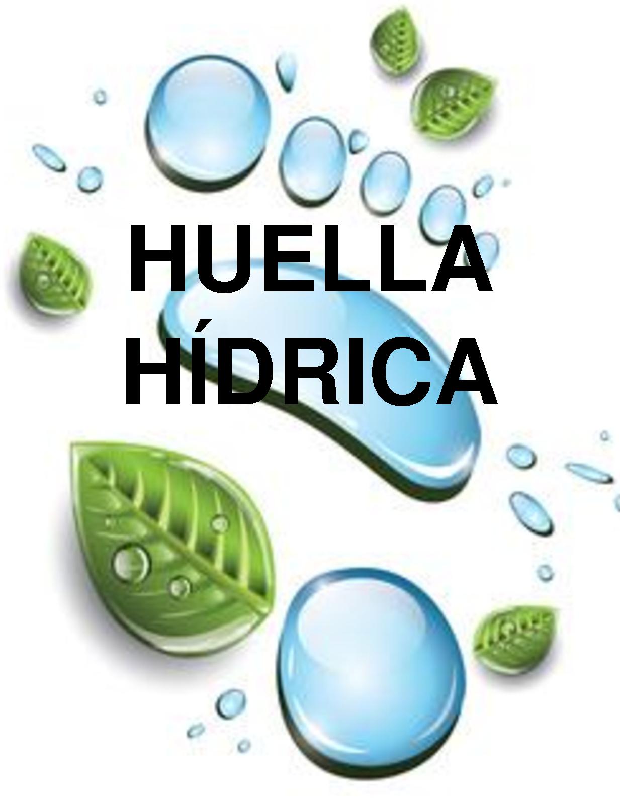 Huella Hidrica 2