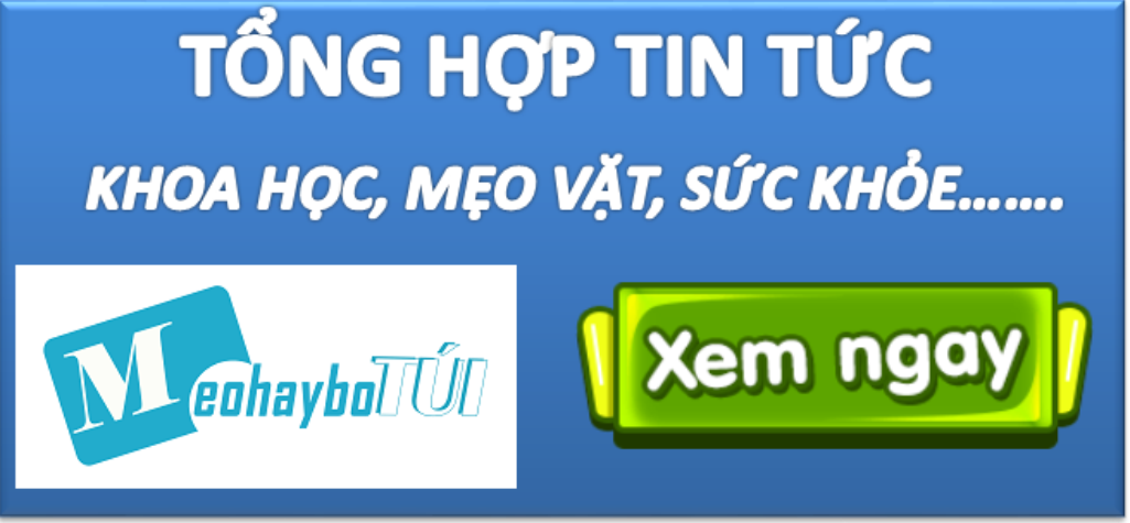 Tin tức tổng hợp